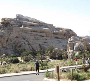 Joshua Tree National Park
