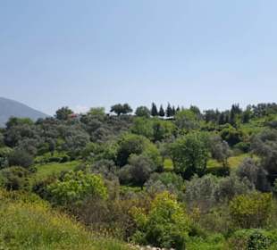 Youtube Video Becin Kalesi ansehen