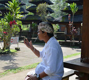 Otto in Luhur Batukau