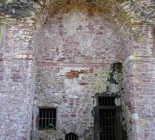 Schloss Heidelberg und Park