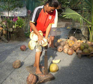 Affenschule Kranchanadit