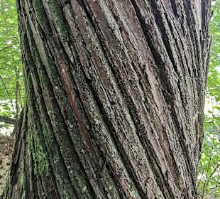 Wandern Velturno / Feldthurns