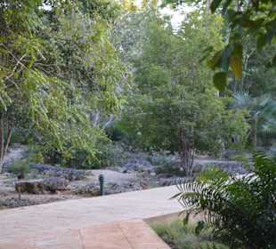 Botanischer Garten Cueva de las Maravillas