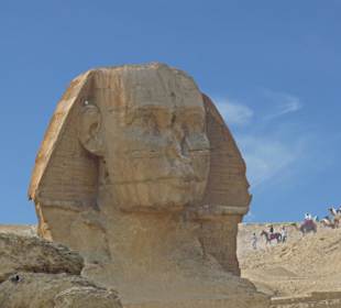 Der oder die Sphinx