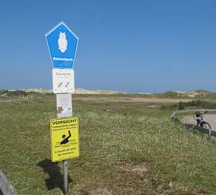 Dünenlandschaft