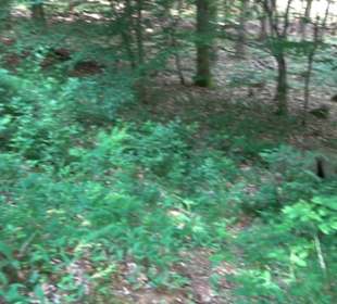 Keltische Grabstätten