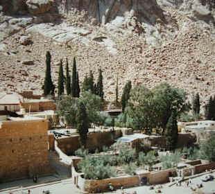 Ein schöner Anblick