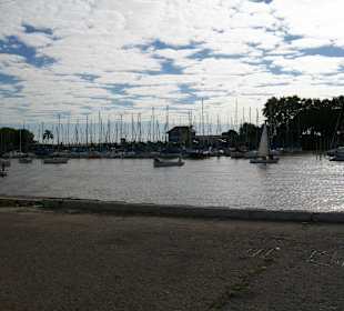 Puerto de olivos Argentina