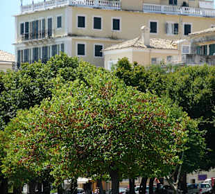 Miasto Korfu/Spianda