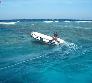 Delfinfahrt mit SimSim