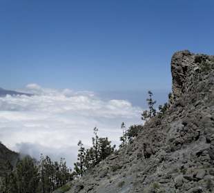 Teide
