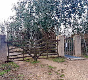 Naturpark S'Albufera