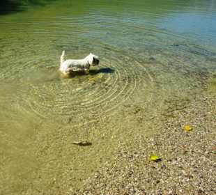 Am Achensee Pertisau