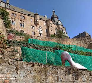 Blick hinauf zum Schloss