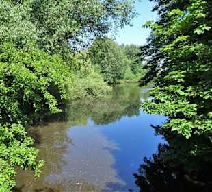 Eindrücke vom Eppendorfer Mühlenteich