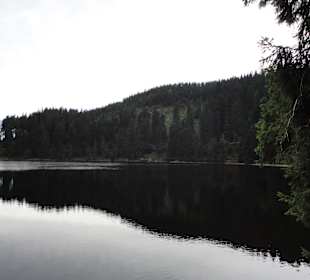 Schön zum spazieren Mummelsee