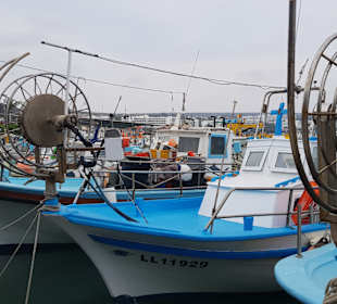 Im Hafen von Ayia Napa. 