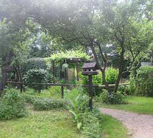 Timofejs Eremitage
