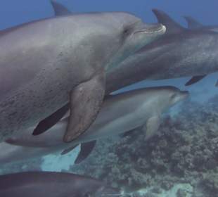 Frei und so schön...