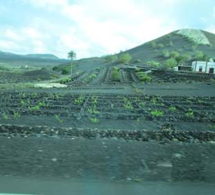 Nationalpark Timanfaya