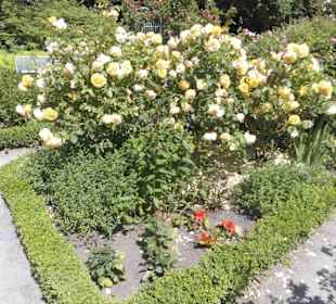 Parkanlage Planten un Blomen