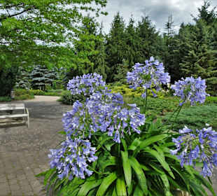 Eindrücke vom Rundgang durch den Park der Gärten
