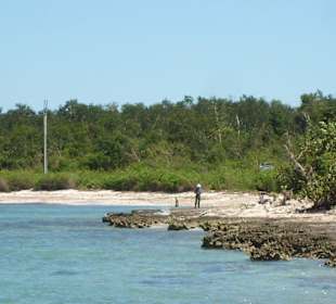 Südkaribik Schweinebucht