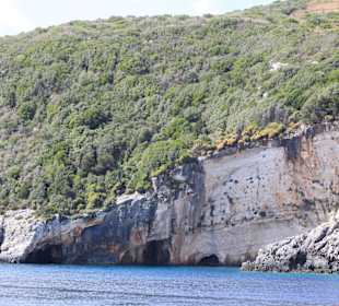 Island Tours