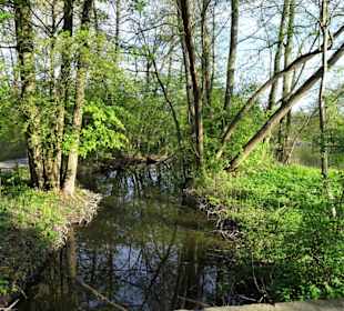 Rundgang durch den Hermann-Löns-Park