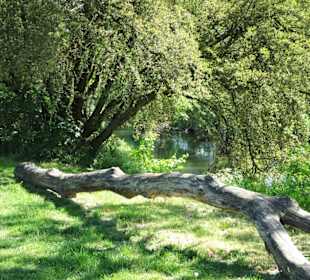 Rundgang durch den Hinüberscher Garten