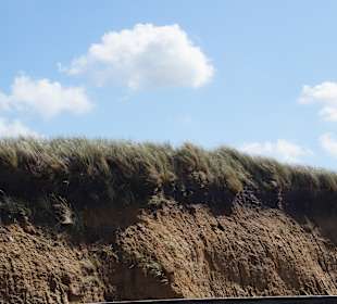 Wandern Gemeinde Sylt [Sylt]