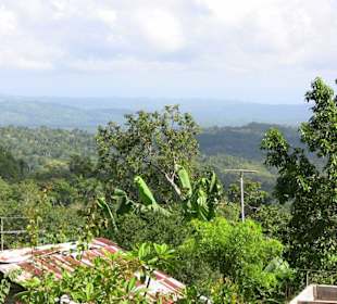 Ausflug Nationalpark "Los Haitises"