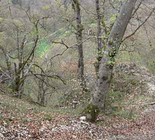 Eiszeitpfad - Burgfelsenpfad