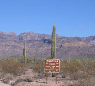 Organ Pipe Cactus National Monument