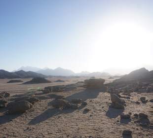 Ausflug Private Quad Tour