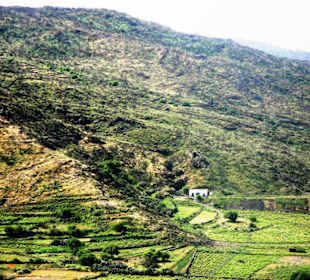 Blick auf das Teno - Gebirge