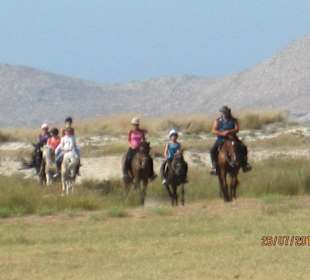 The whole family can ride together