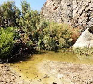 Ausflüge Marsa Alam-Wadi Abenteuer Safari 