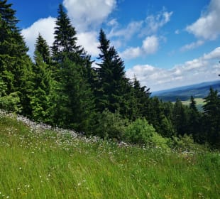 Wandern Oberwiesenthal