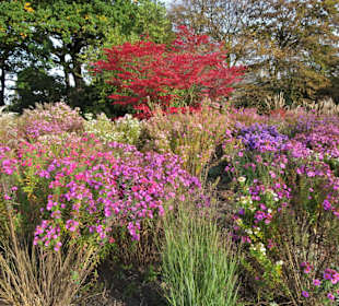 Rundgang durch das herbstliche "Planten un Blomen"