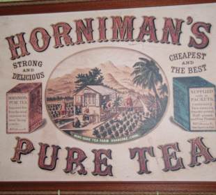 Im Teemuseum in Bois Cheri