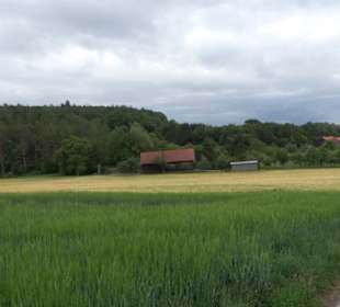 Schutzgebiet Spitzberg, Pfaffenberg