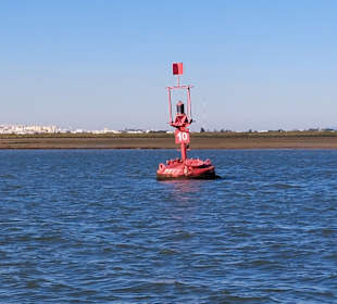 Bootstour Ria Formosa
