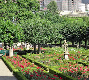 Rundgang durch den Rosengarten der Neuen Residenz