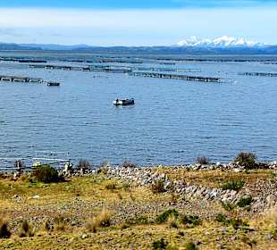 Fahrt um den Titicacasee