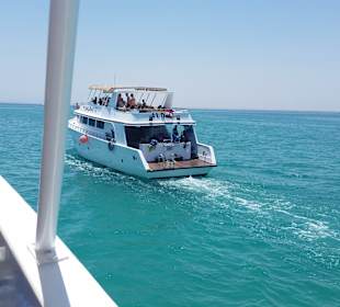 Schnorcheln Hurghada