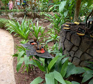 Diamante Eco Adventure Park