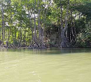 Los Haitises Nationalpark