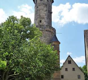 Blick auf den Turm der Altenburg
