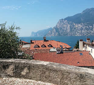 Ausblick